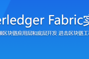 学习Hyperledger Fabric实战联盟链-企业端区块链原理精讲