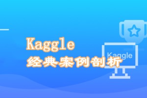Kaggle竞赛经典案例深度剖析